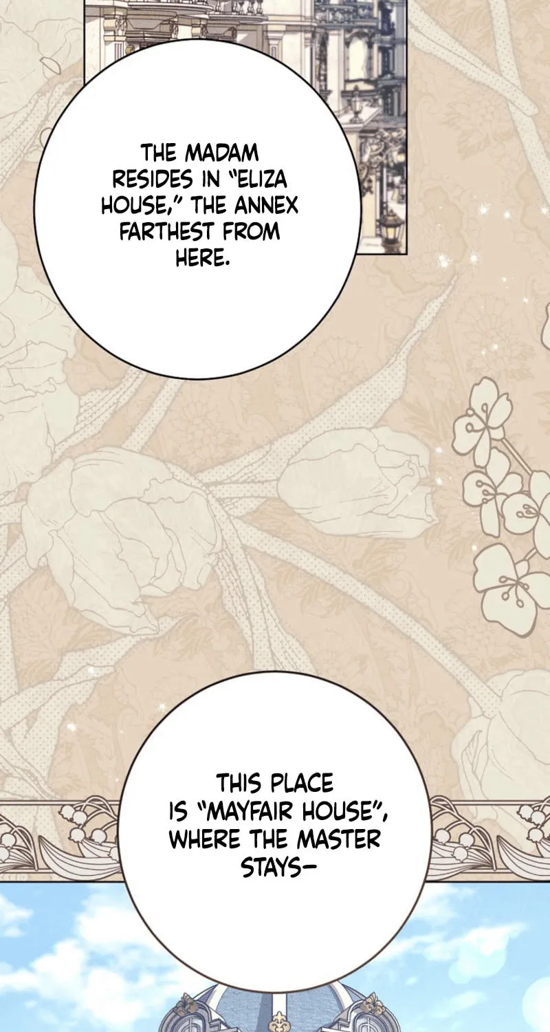 The Duke’s Wife Obsession Chapter 14 page 33 - 