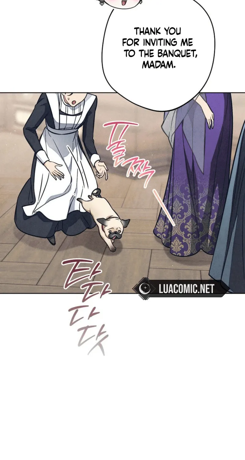 The Duke’s Wife Obsession Chapter 14 page 97 - 