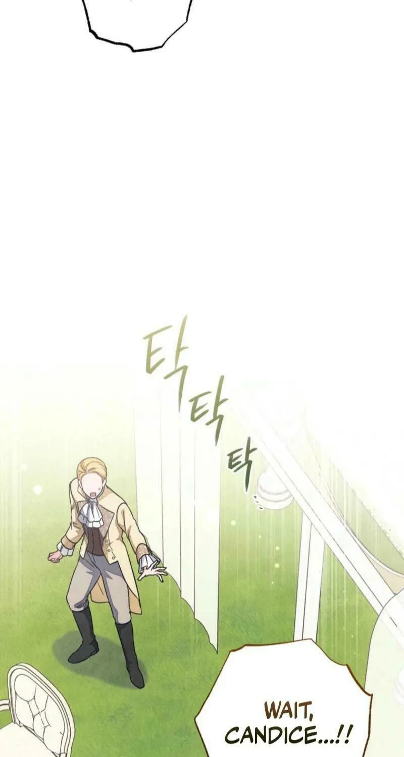 The Duke’s Wife Obsession Chapter 19 page 25 - 