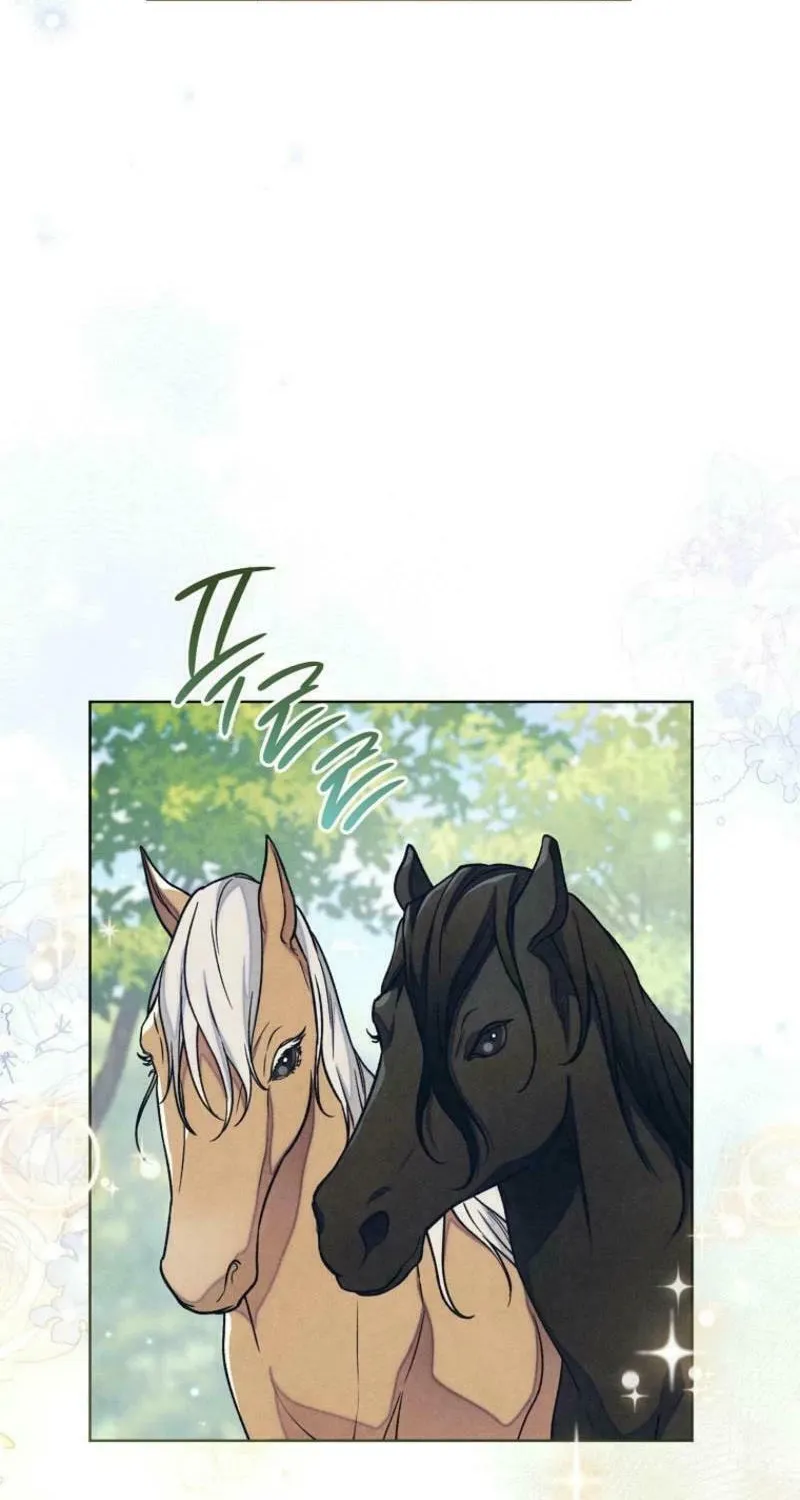 The Duke’s Wife Obsession Chapter 19 page 42 - 