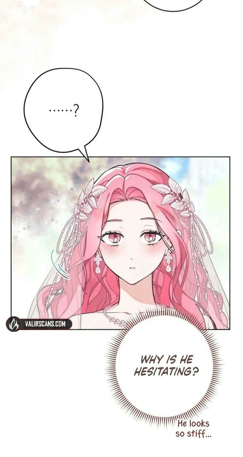 The Duke’s Wife Obsession Chapter 19 page 65 - 