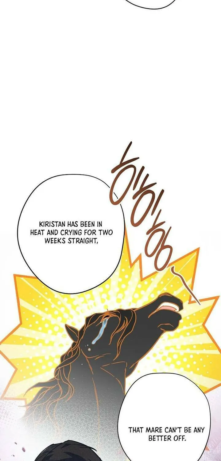 The Duke’s Wife Obsession Chapter 2 page 50 - 