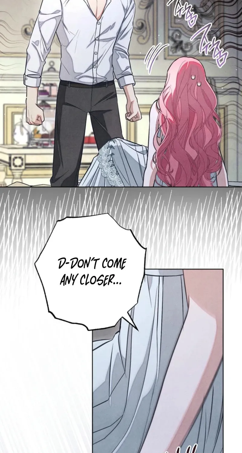 The Duke’s Wife Obsession Chapter 24 page 28 - 