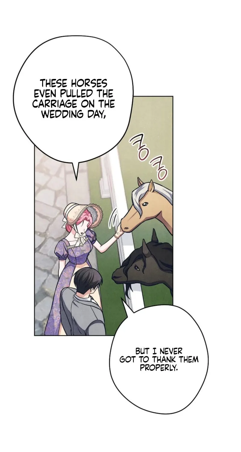 The Duke’s Wife Obsession Chapter 26 page 52 - 