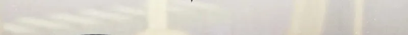The Duke’s Wife Obsession Chapter 27 page 79 - 