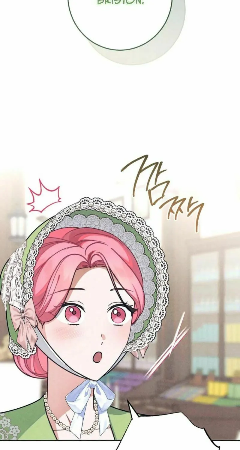 The Duke’s Wife Obsession Chapter 29 page 17 - 