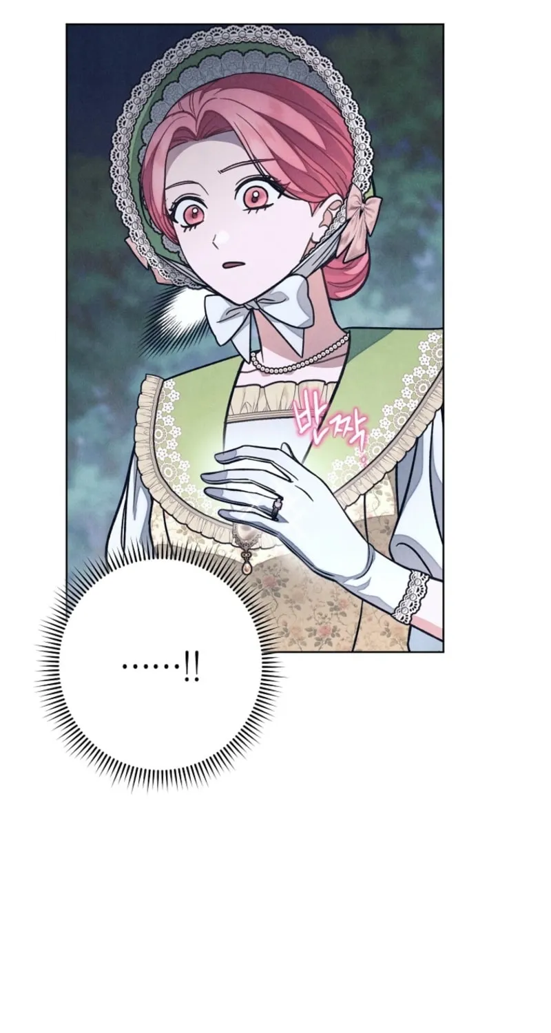 The Duke’s Wife Obsession Chapter 31 page 45 - 