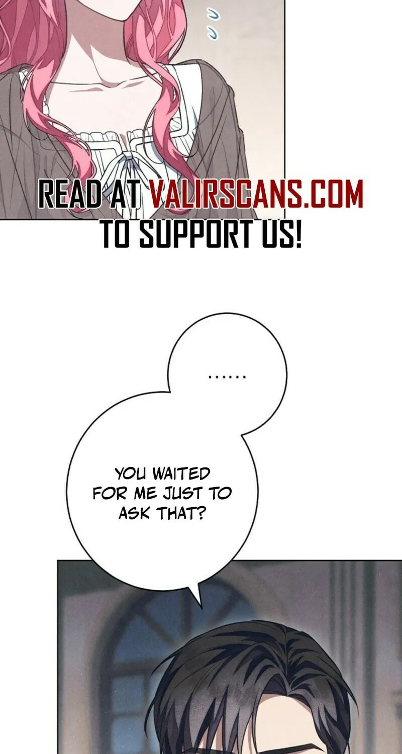 The Duke’s Wife Obsession Chapter 33 page 27 - 