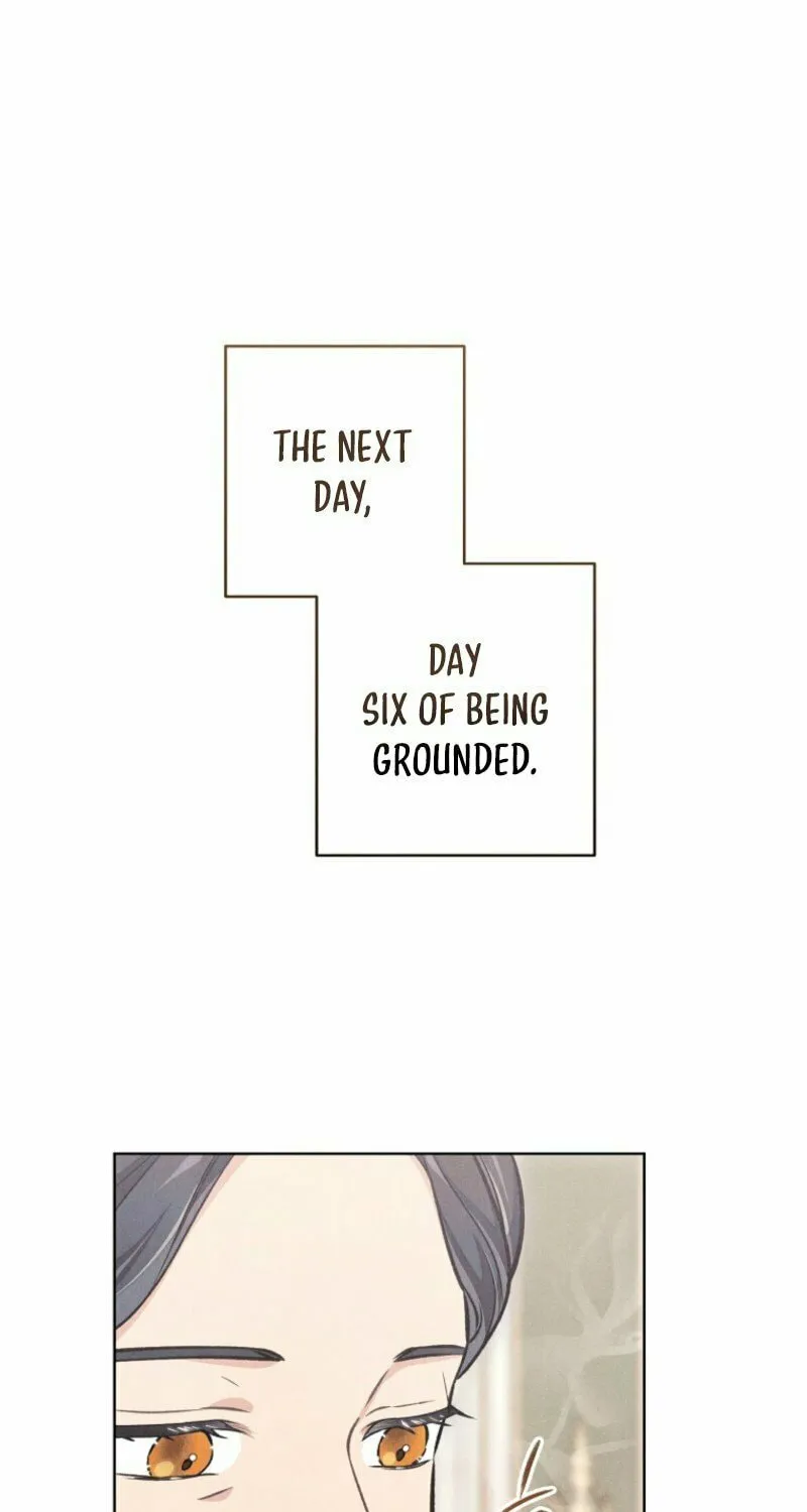 The Duke’s Wife Obsession Chapter 36 page 27 - 