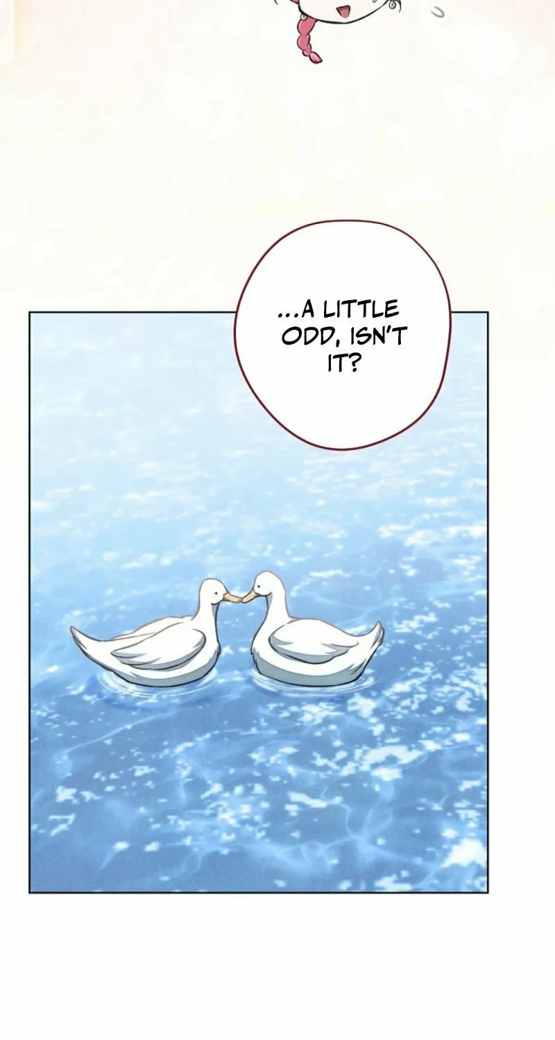 The Duke’s Wife Obsession Chapter 37 page 62 - 