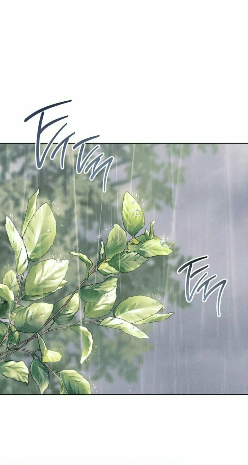 The Duke’s Wife Obsession Chapter 37 page 77 - 