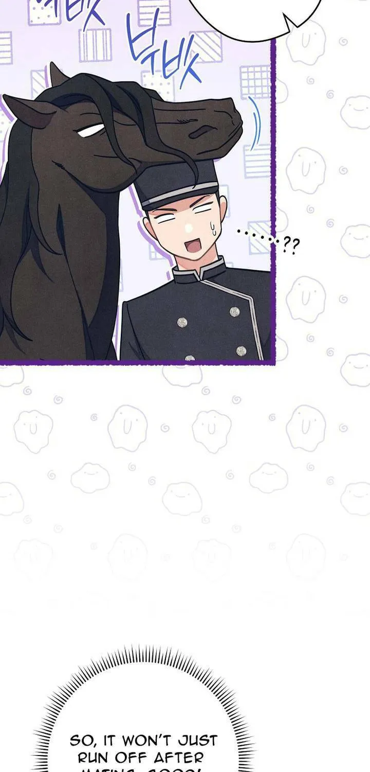 The Duke’s Wife Obsession Chapter 4 page 42 - 