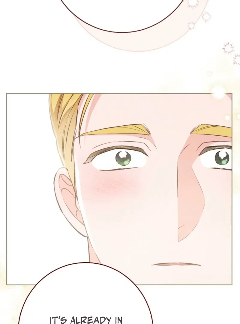 The Duke’s Wife Obsession Chapter 41 page 73 - 