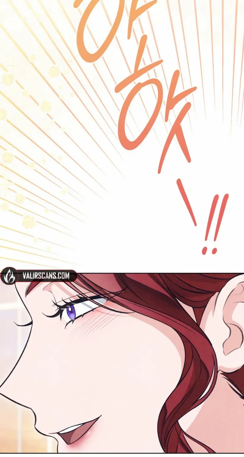The Duke’s Wife Obsession Chapter 46 page 27 - 