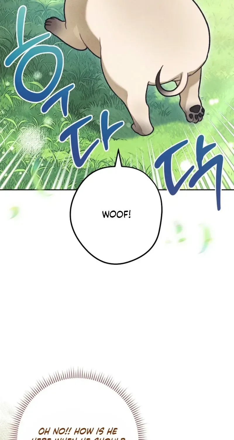 The Duke’s Wife Obsession Chapter 60 page 62 - 