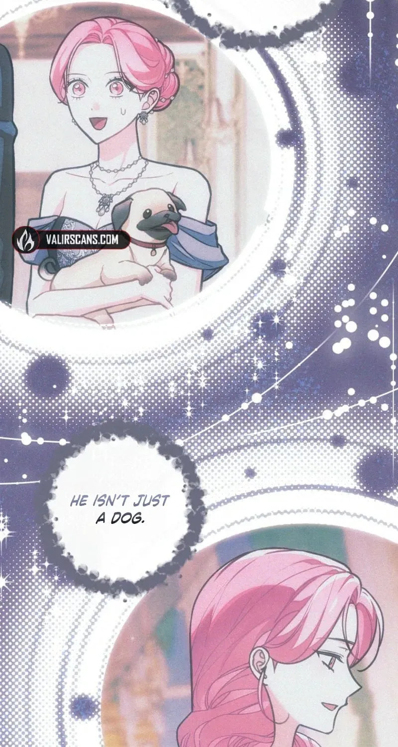 The Duke’s Wife Obsession Chapter 63 page 70 - 