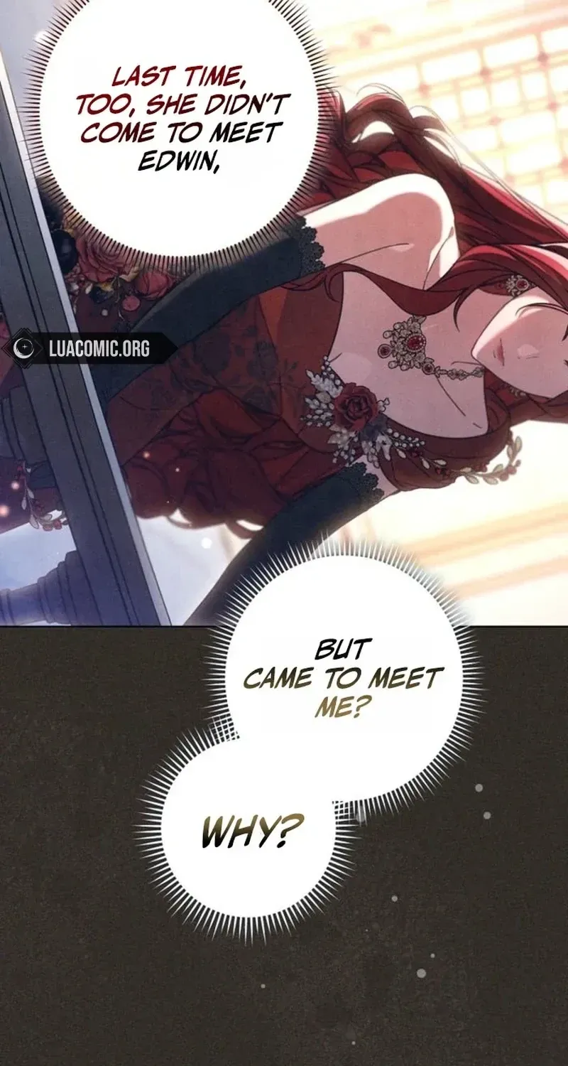 The Duke’s Wife Obsession Chapter 70 page 27 - 