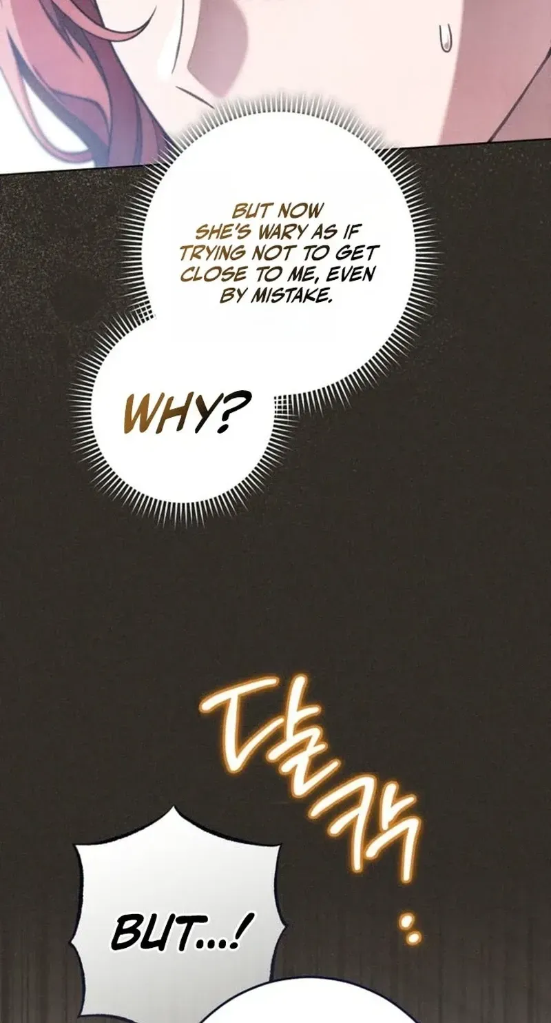 The Duke’s Wife Obsession Chapter 70 page 73 - 