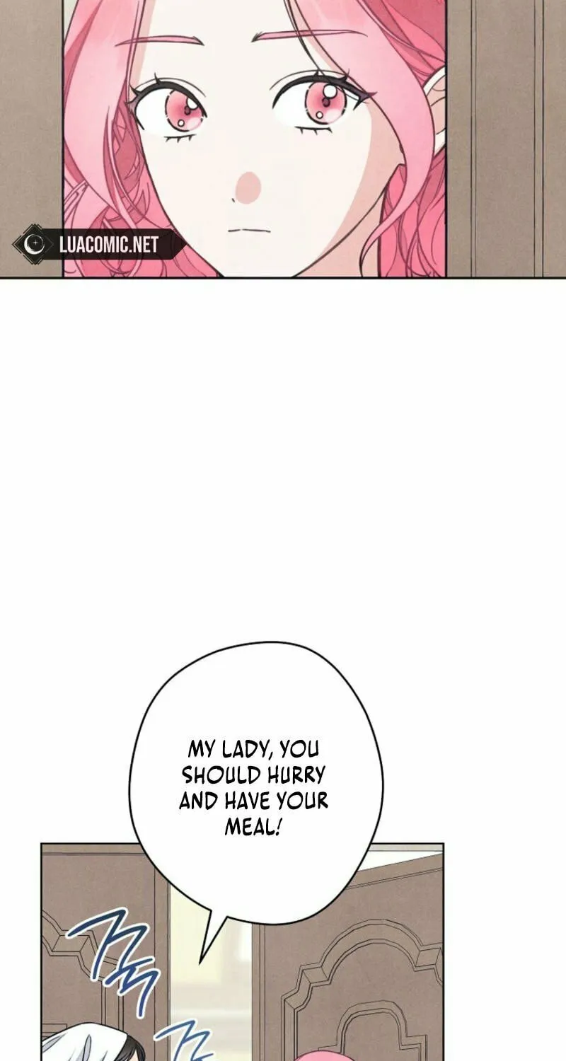 The Duke’s Wife Obsession Chapter 8 page 79 - 