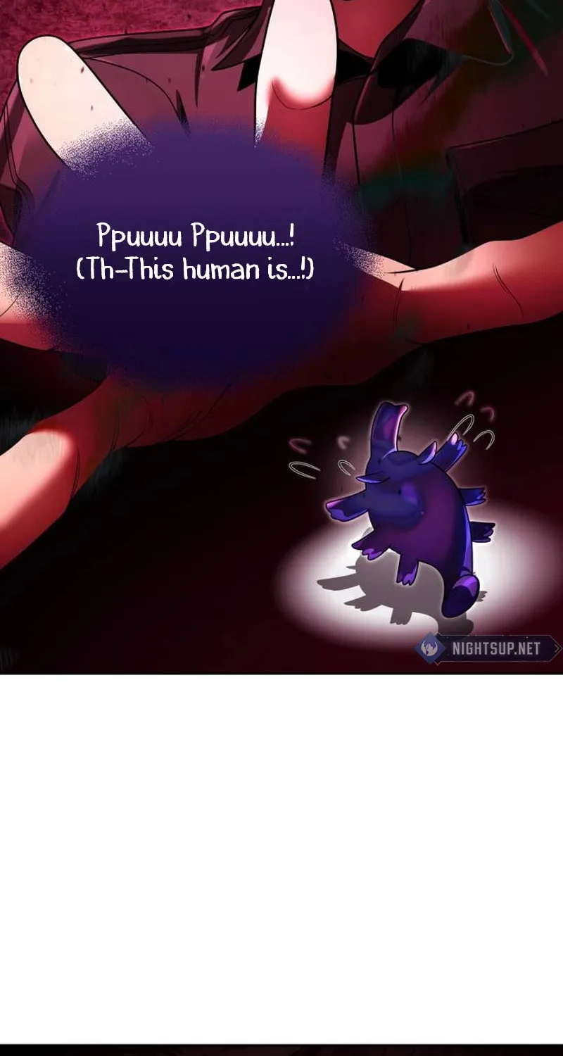 The Dungeon Cleaning Life of a Once Genius Hunter Chapter 113 page 65 - 