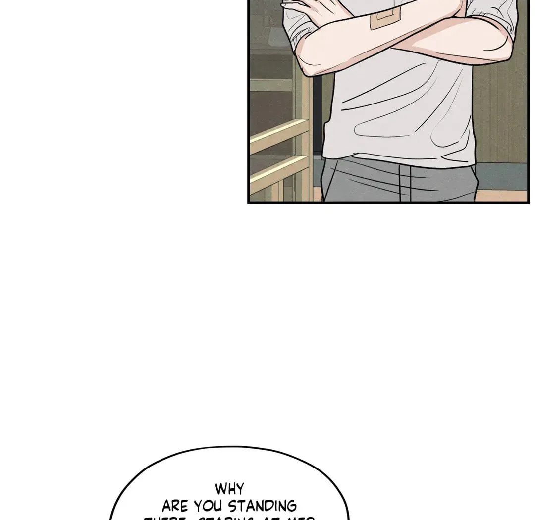The Edge of Ambiguity Chapter 56 page 33 - 