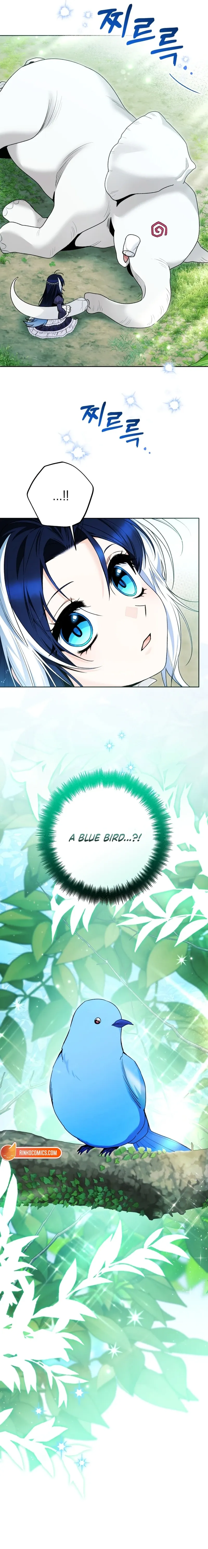 The Éminence Grise Orca Baby Chapter 104 page 5 - 