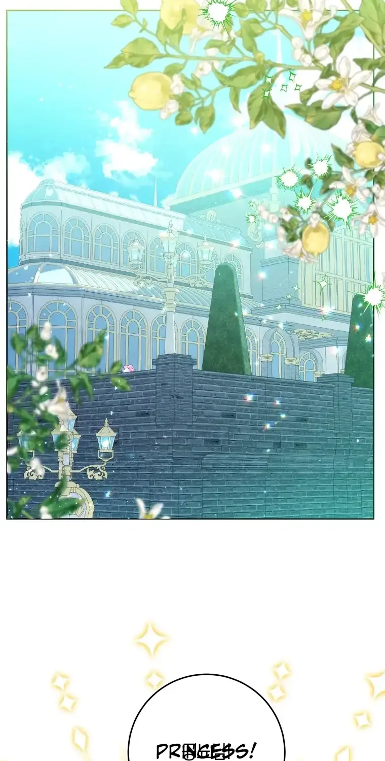 The Éminence Grise Orca Baby Chapter 13 page 15 - 