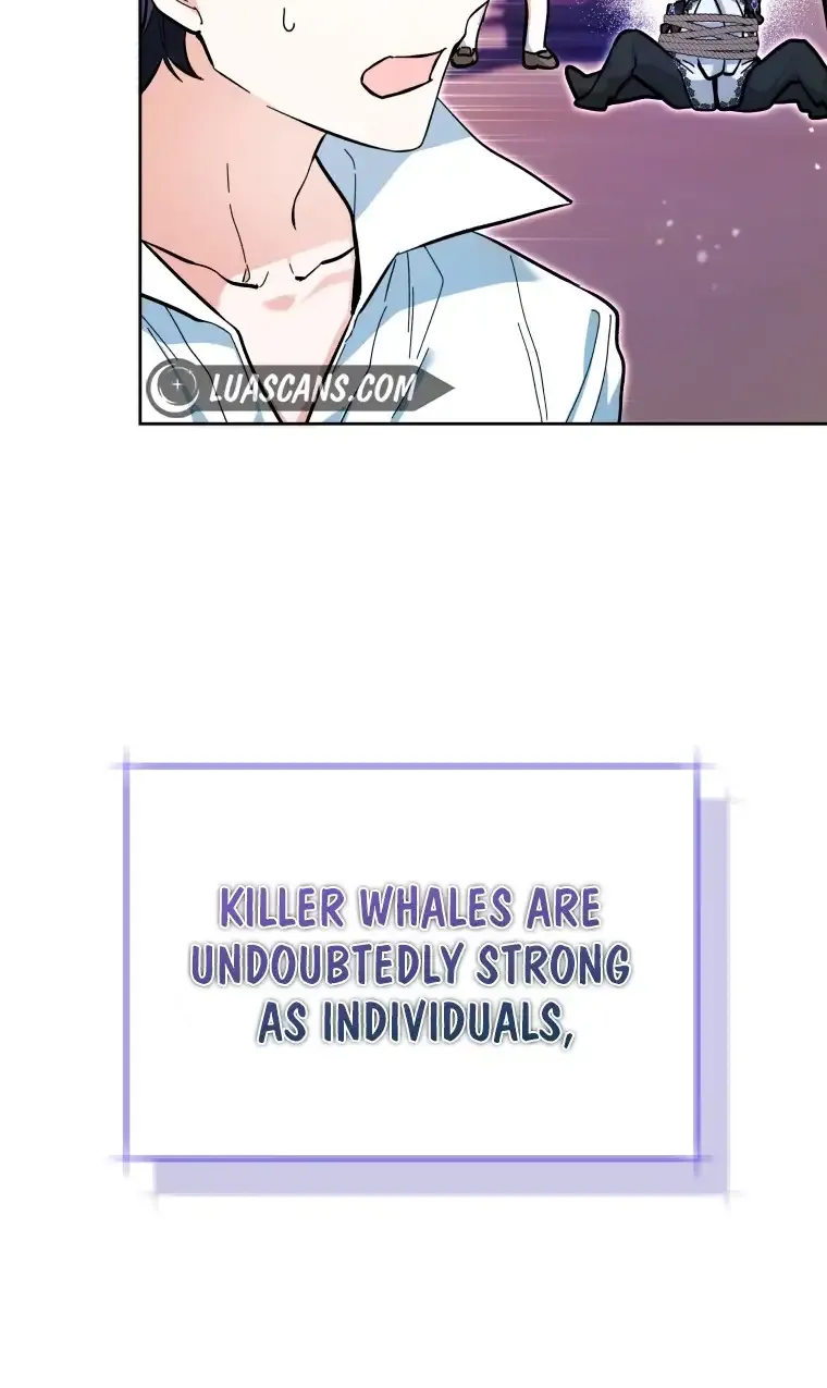 The Éminence Grise Orca Baby Chapter 17 page 9 - 