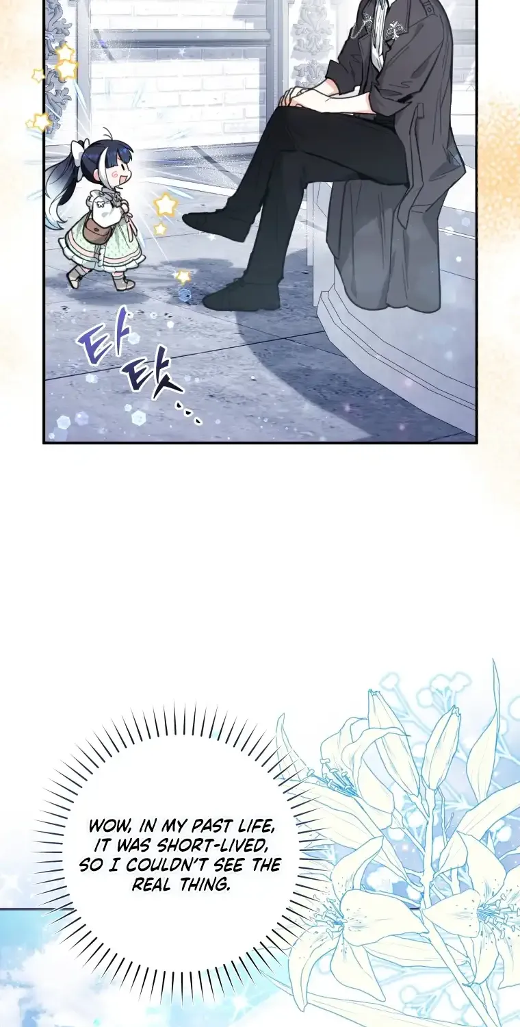 The Éminence Grise Orca Baby Chapter 2 page 42 - 