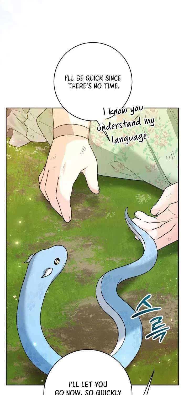 The Éminence Grise Orca Baby Chapter 34 page 28 - 