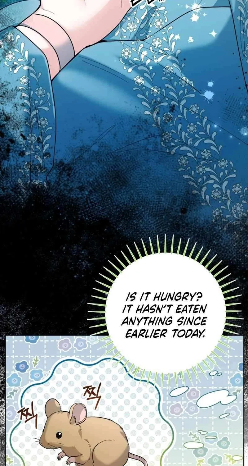 The Éminence Grise Orca Baby Chapter 36 page 11 - 