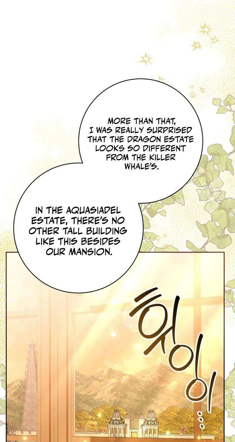 The Éminence Grise Orca Baby Chapter 41 page 26 - 