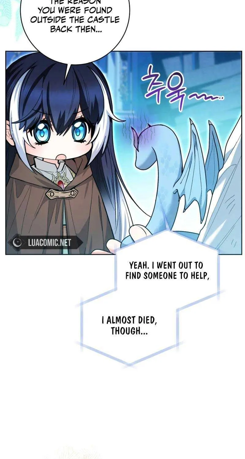The Éminence Grise Orca Baby Chapter 43 page 73 - 