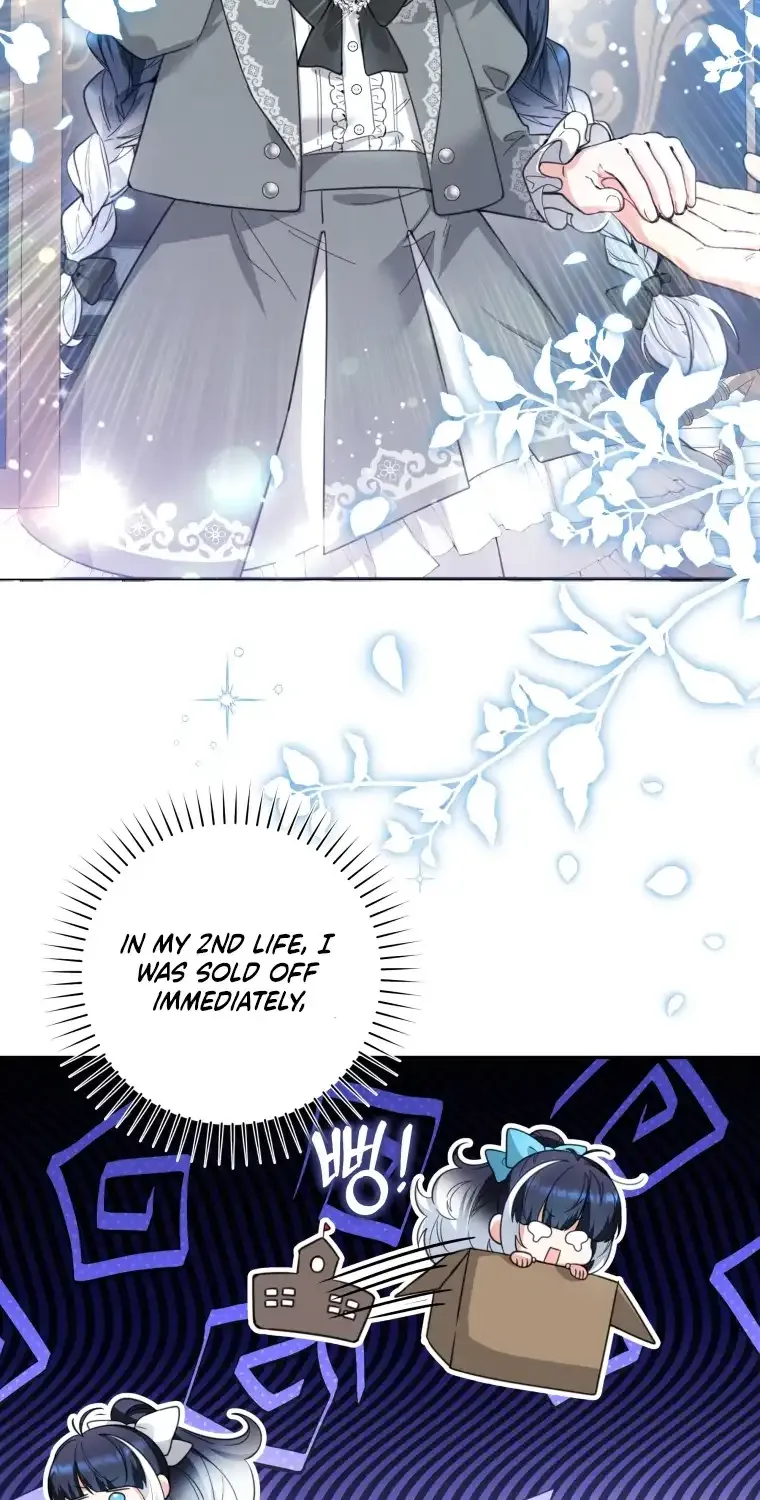 The Éminence Grise Orca Baby Chapter 5 page 41 - 