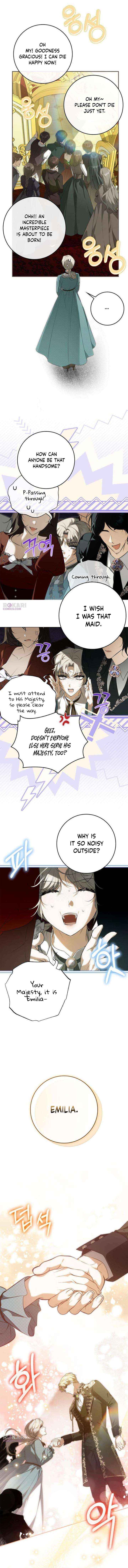 The Emperor Is Annoyed by the Maid Chapter 29 page 2 - 