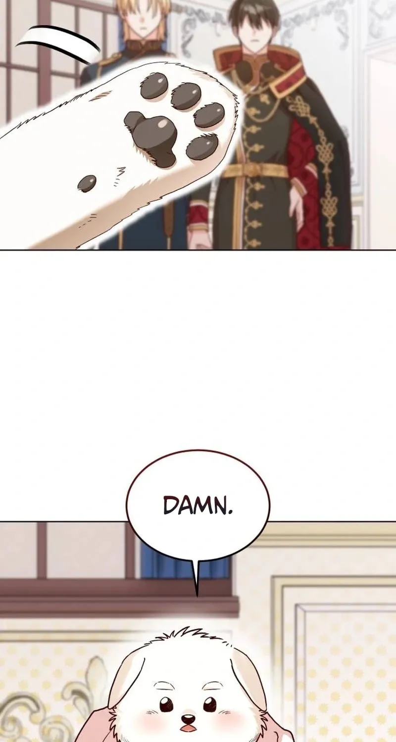 The Emperor
