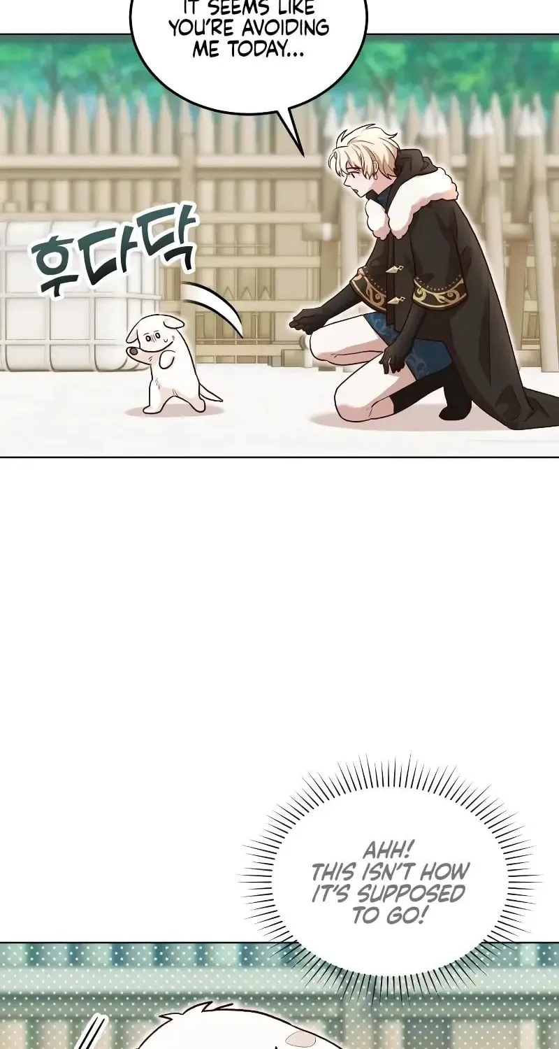 The Emperor