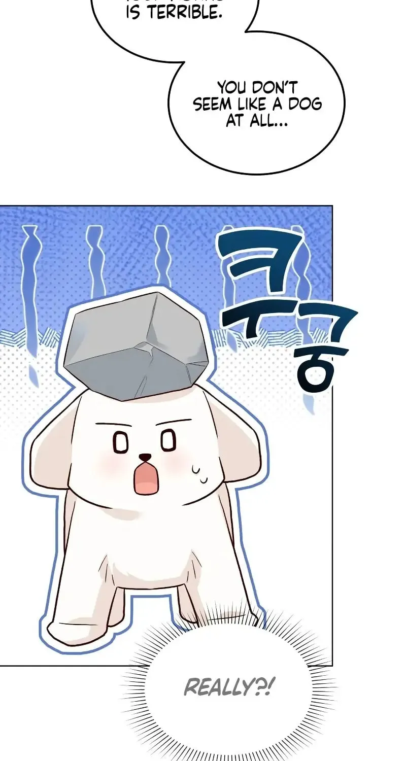 The Emperor