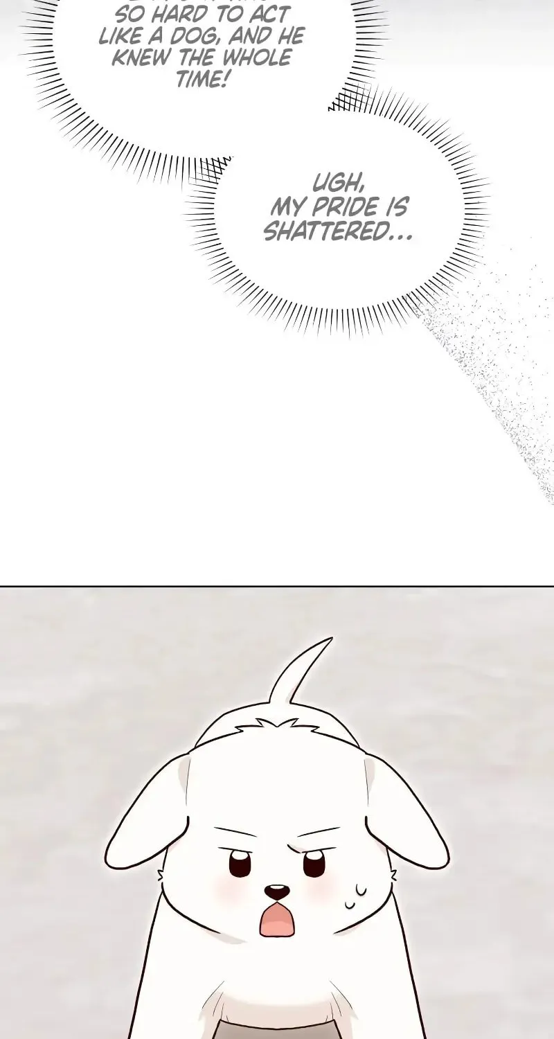 The Emperor