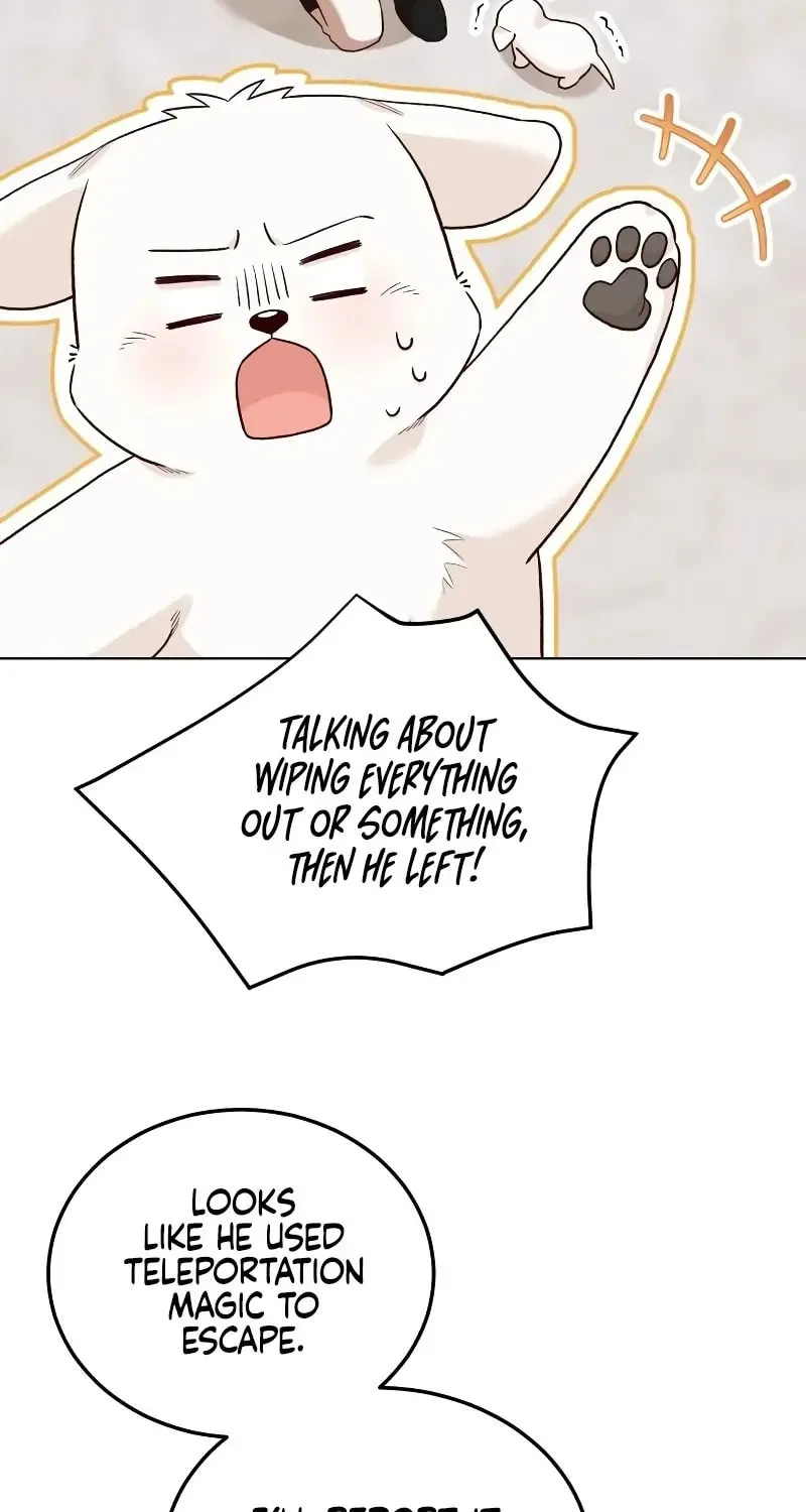 The Emperor