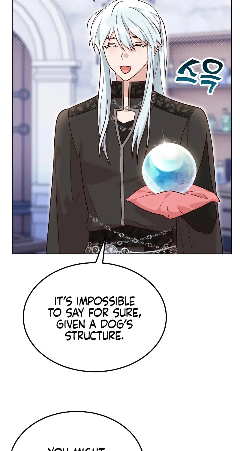 The Emperor