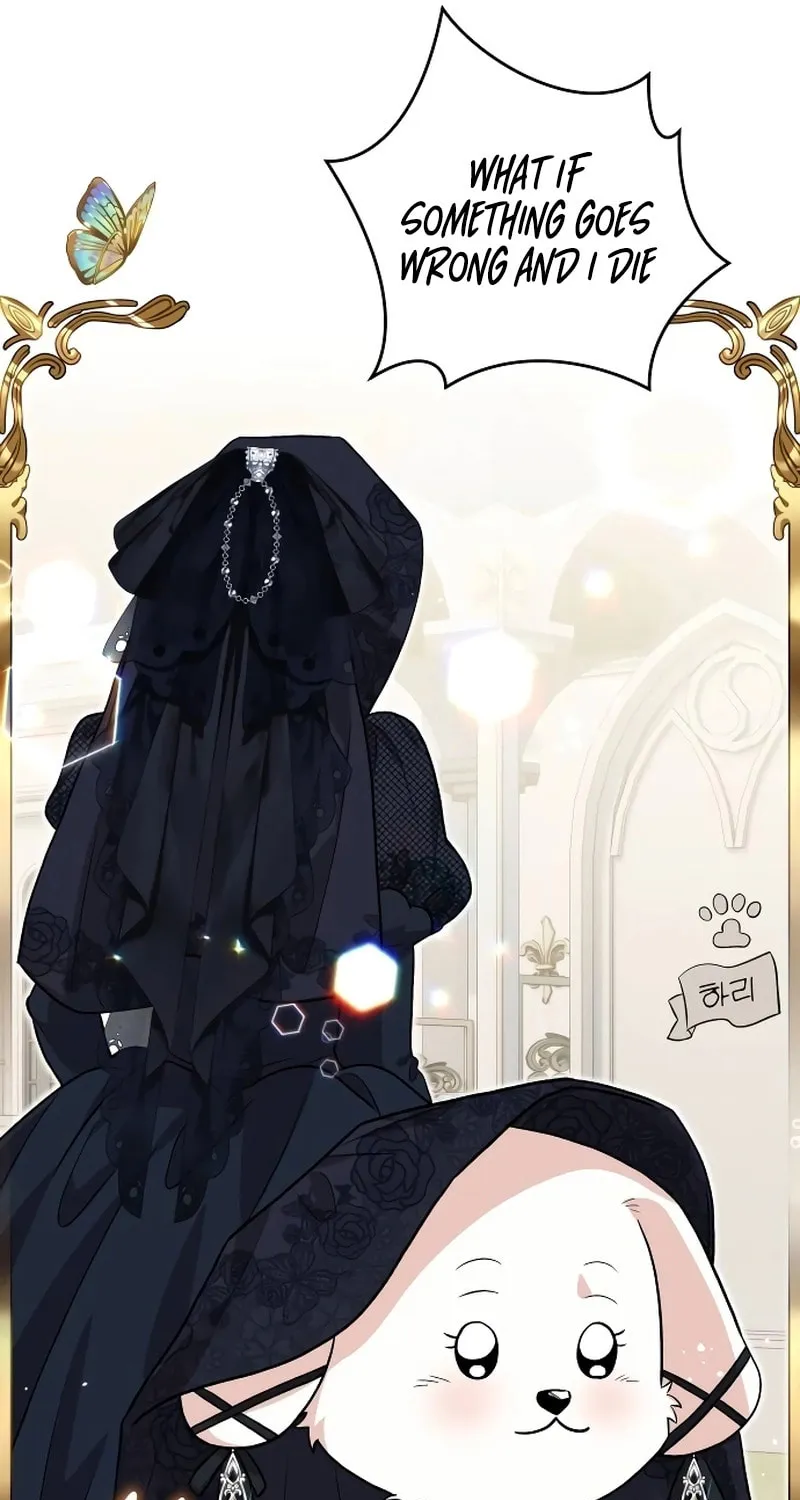 The Emperor