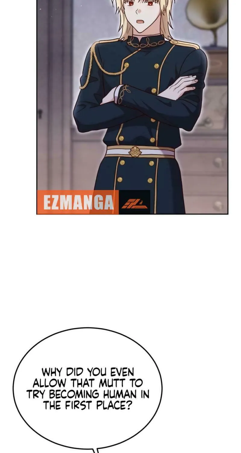 The Emperor