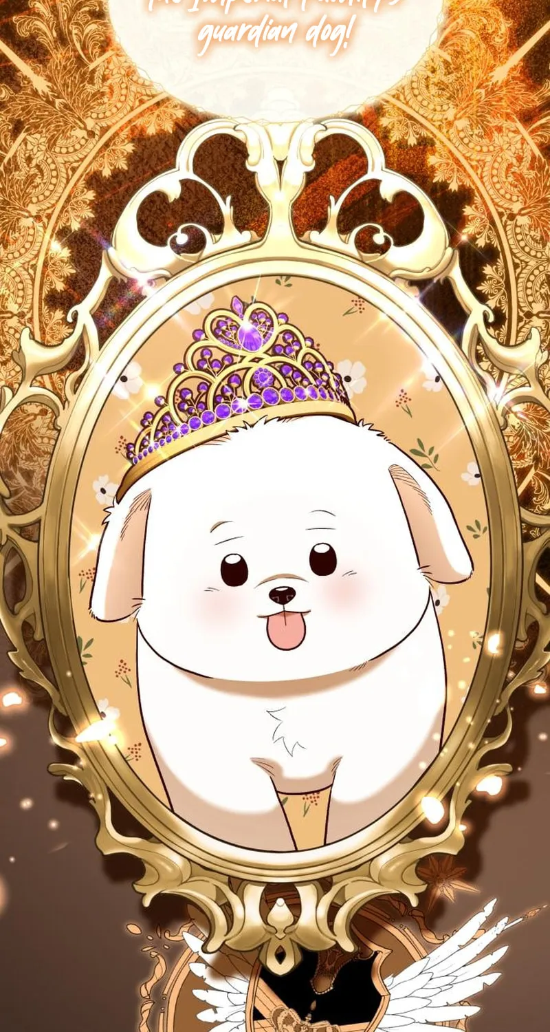 The Emperor