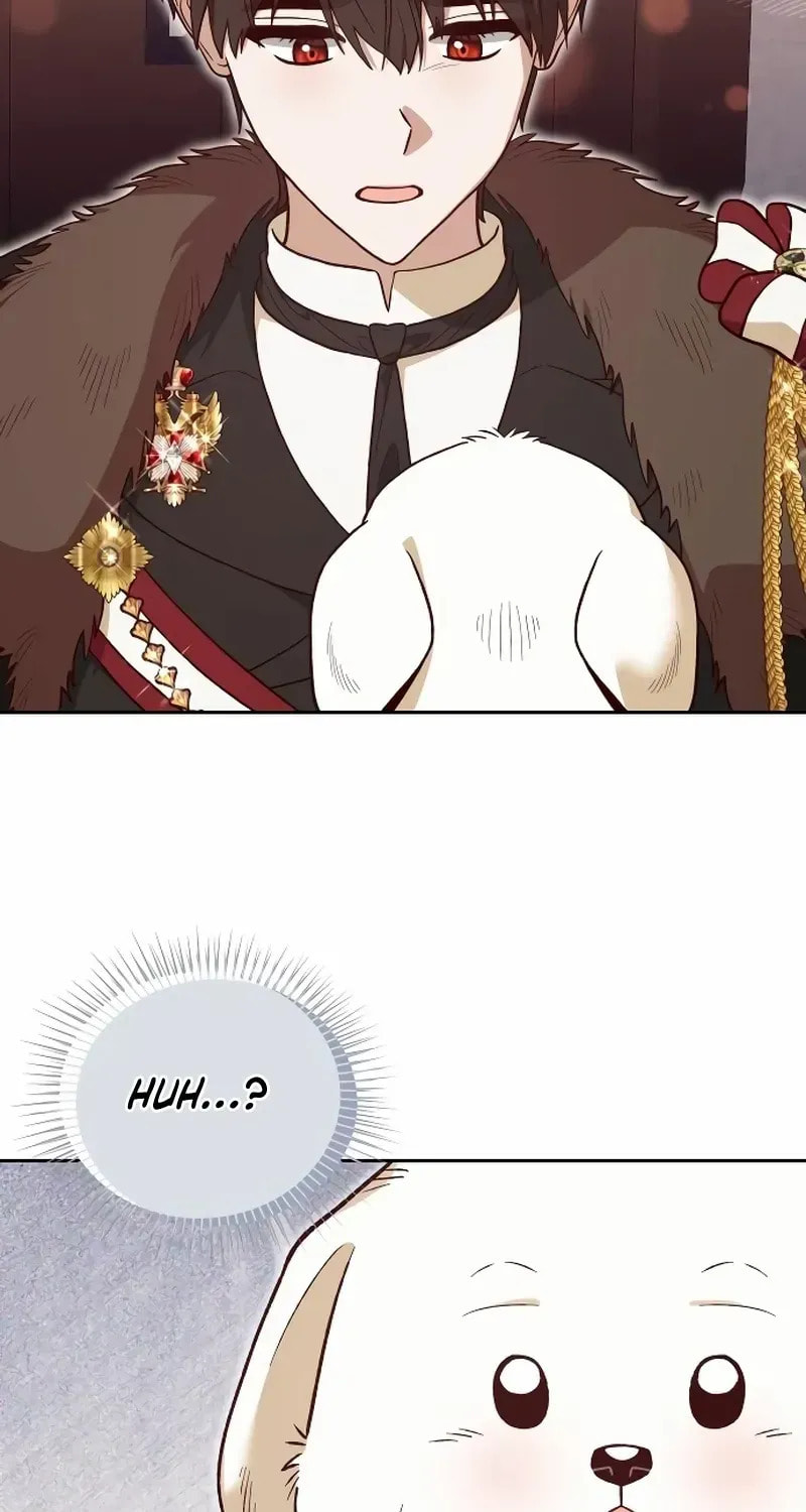 The Emperor