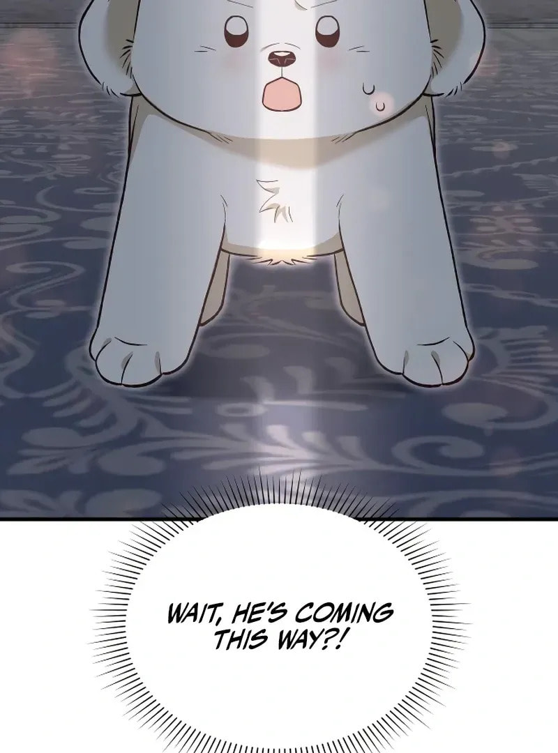 The Emperor