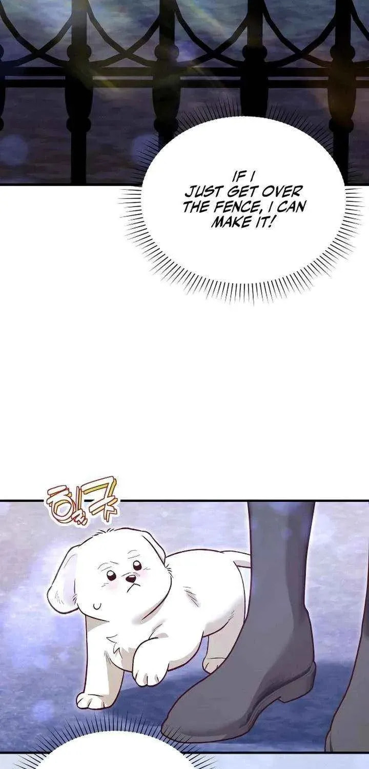The Emperor