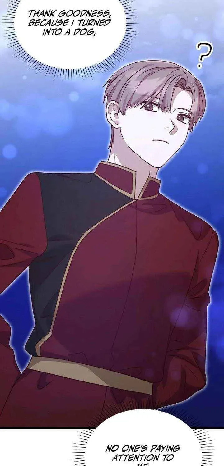 The Emperor