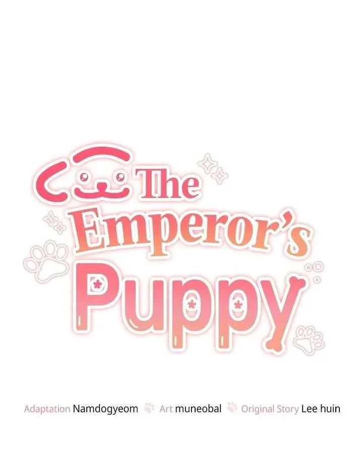 The Emperor