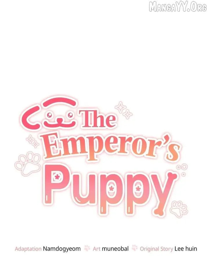 The Emperor